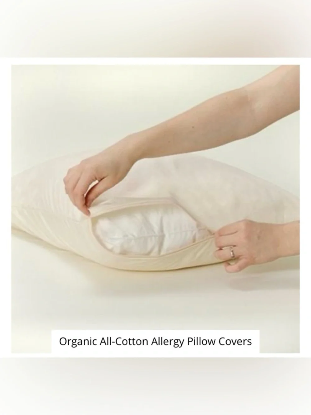 NEW Organic All-Cotton Allergy Pillow Cover - Cream